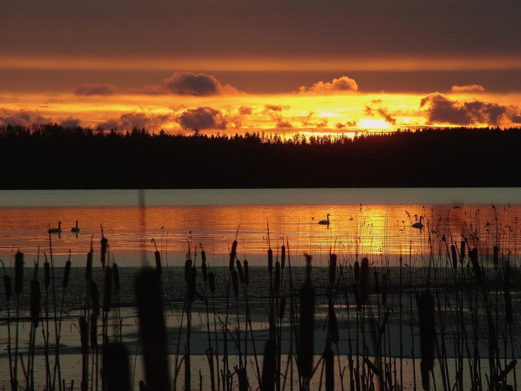 Lohja Spa & Resort Karjalohja Eksteriør bilde